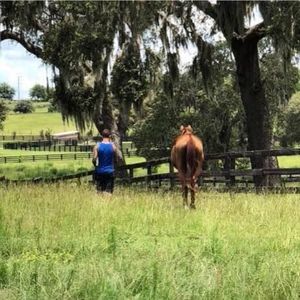 Meet your Posher, Justin